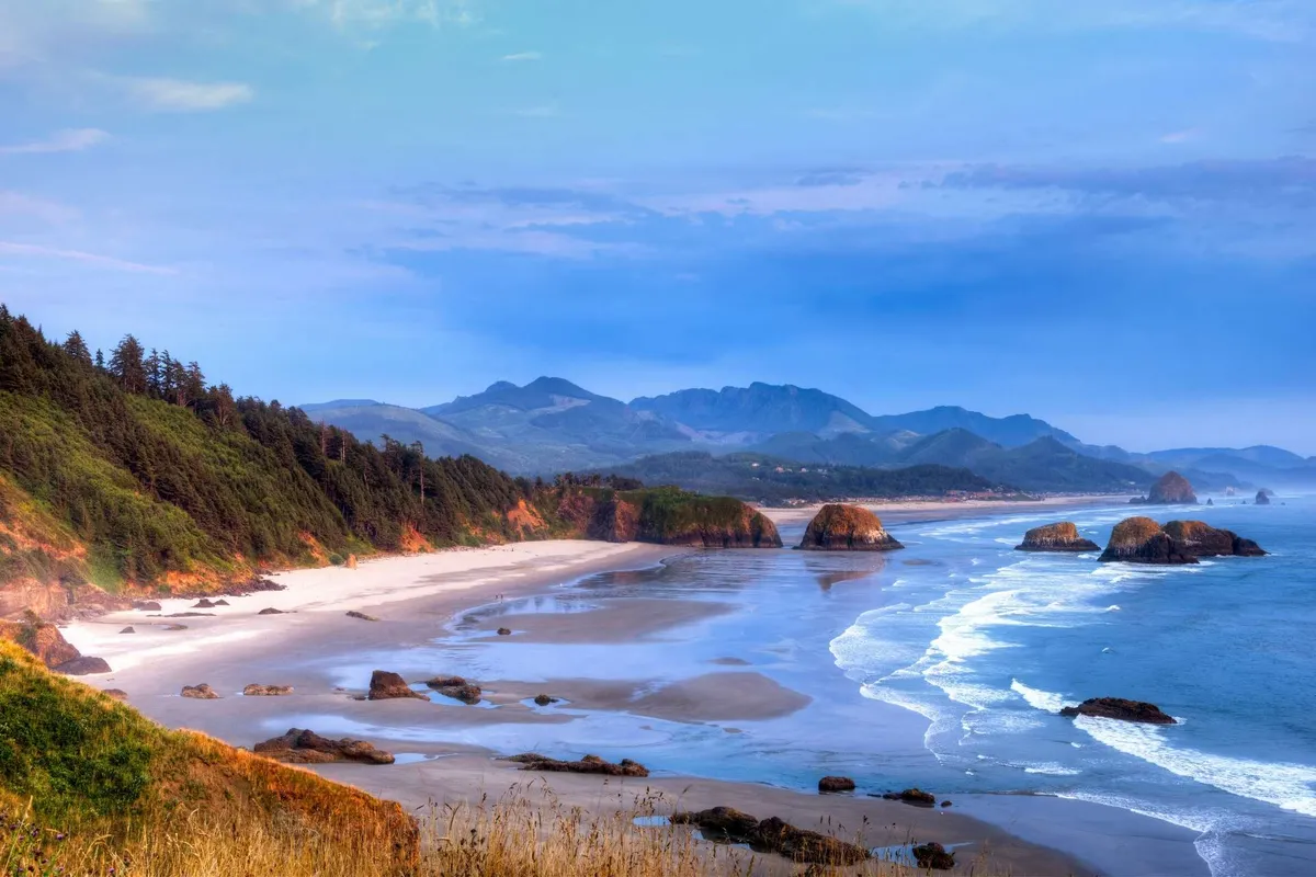 A sweeping view of the coastline with distinct rock formations, gentle ocean waves, sandy beach, and distant mountains. The natural beauty invites beach walks and outdoor adventure, aligning perfectly with the theme of coastal exploration with a pet.